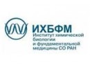ИХБФМ СО РАН